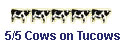 tucows
